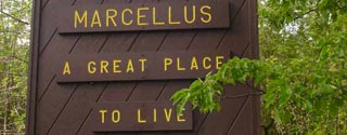 The Beauty of Marcellus