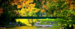 Fall in Marcellus Park