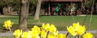 Leave Your Mark In The Park